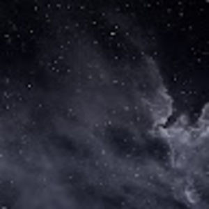 Meet your Posher, Jacqueline